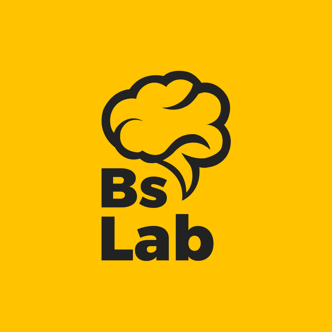 Bslab – Brainstorm Lab